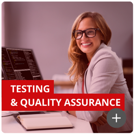 Software Testing